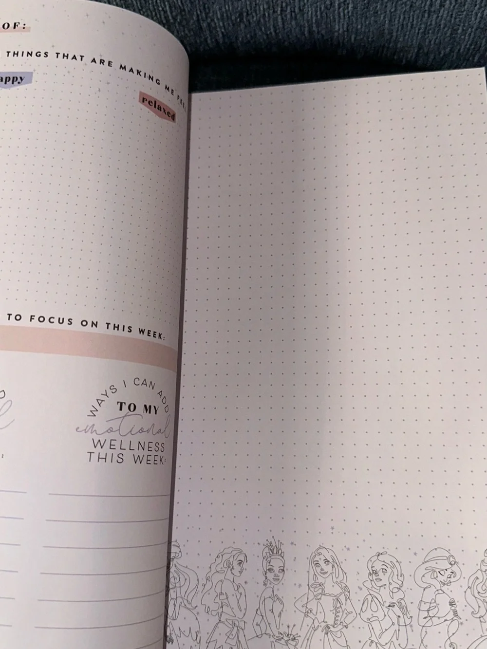 READ DESCRIPTION The Happy Planner Princess Guided Wellness Journal Classic Size